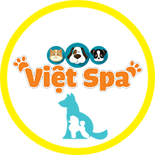 vietspathucung.com